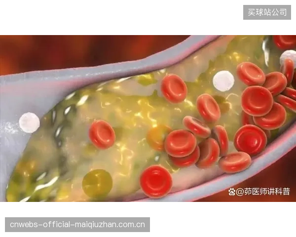 加拿大队采用科学补水方案，以降低球员在高温比赛中心血管系统负荷。